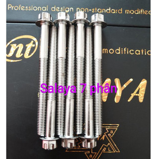 ốc salaya 6li đủ size