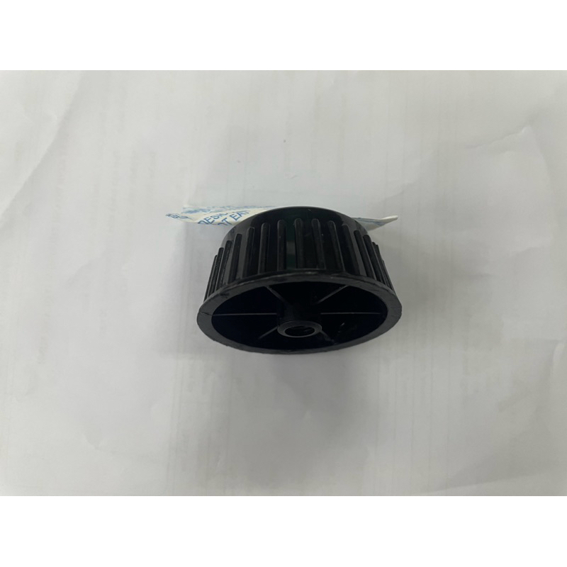 TÁN CÁNH QUẠT ASIA