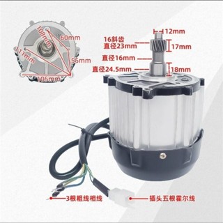 motor 3 pha không chổi than lắp liền cầu Vi sai điện áp 48/ 60v