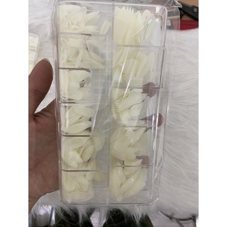 Móng úp HSM nhọn bầu nhám sẵn màu đục