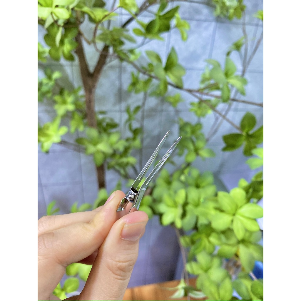 Kẹp sóng nước mini có hộp đựng tạo kiểu tóc giữ tóc vào nếp - Hity Beauty