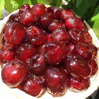[CHUẨN NGON] TÁO THÁI RIM ÍT NGỌT LOẠI KHÔNG HẠT 500Gram/1kg