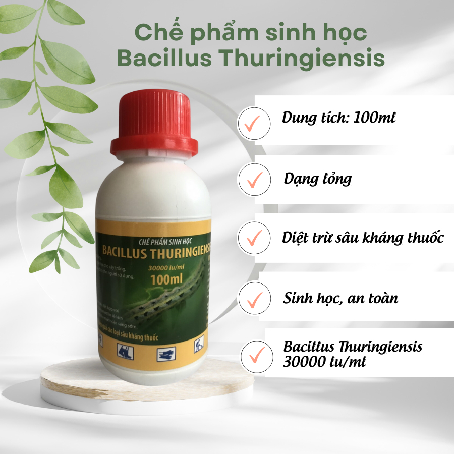 Chế phẩm sinh học Bacillus Thuringiensis chai 100ml (Vườn Sài Gòn), BT diệt nhanh côn trùng, ít độc