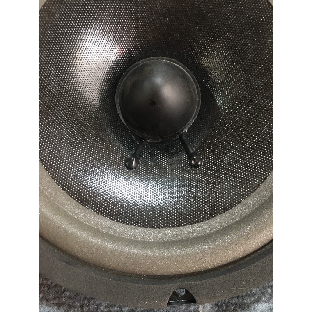 LOA BASS 20 MARTIN GÂN MÚT TỪ 120 COIL 36 - GIÁ HAI LOA