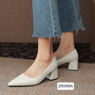 Giày Cao Gót Đế Vuông 2909GN