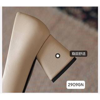 Giày Cao Gót Đế Vuông 2909GN