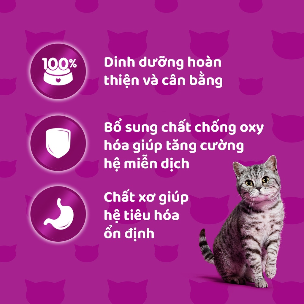 Thức ăn hạt dành cho mèo Whiskas 400g & 450g