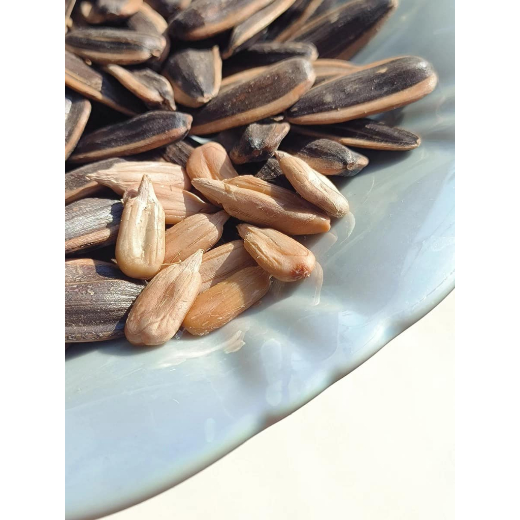 Gói 500g hạt hướng dương tẩm bị Hiệu Ba Con Sóc