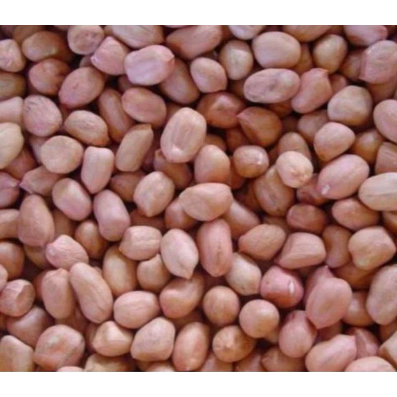 Lạc trắng bóc tay loại 1( Hút chân không)