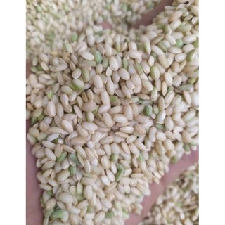 Gạo nếp Lứt nếp cái hoa vàng 1kg
