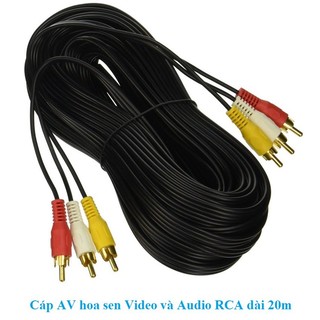Cáp AV hoa sen Video và Audio RCA dài 10m