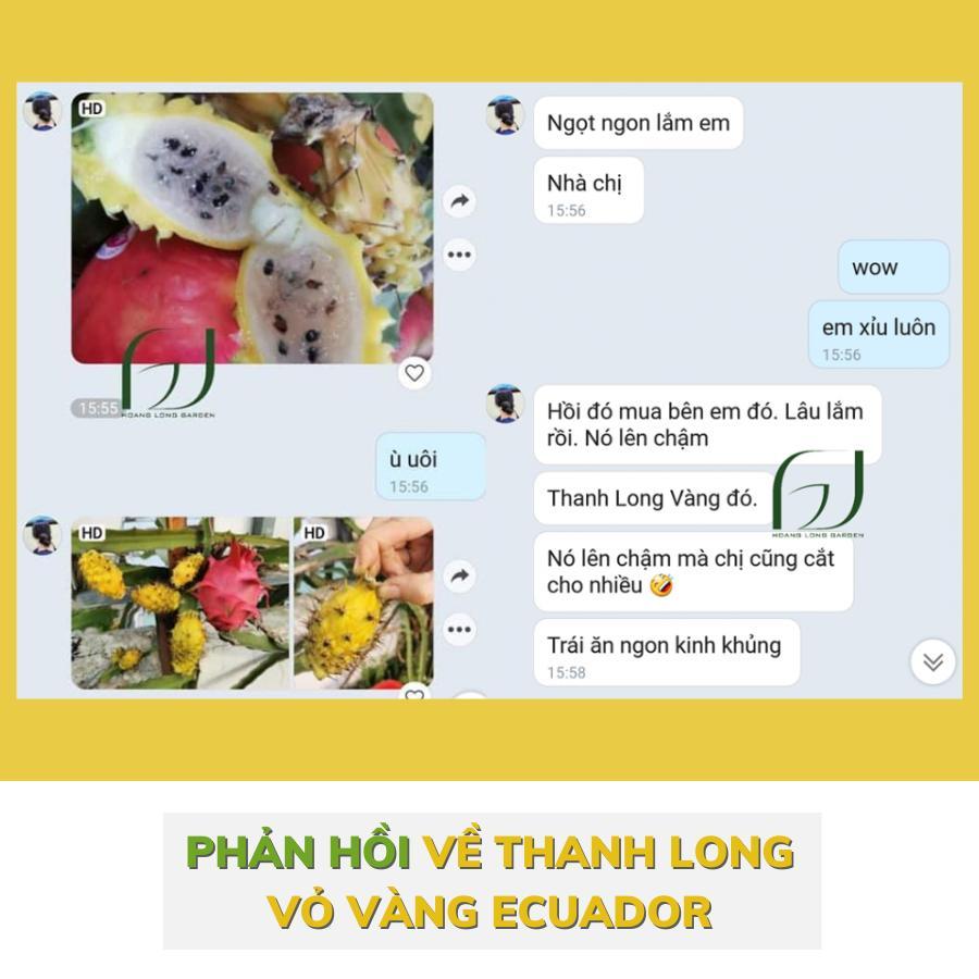 Cây giống Thanh Long Ecuador