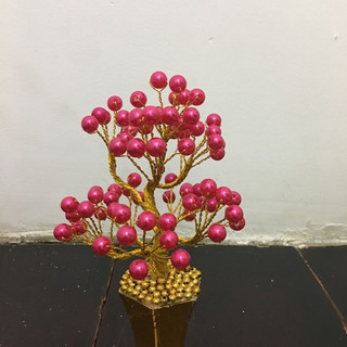 Chậu hoa để thân tài cao 15cm