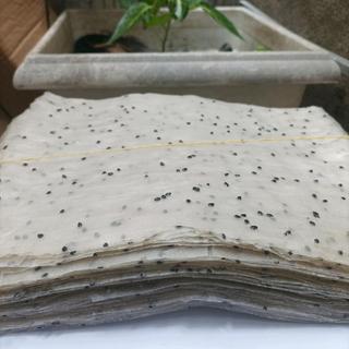 [1kg] Bánh Tráng Cuốn Mè Đen Bình Định
