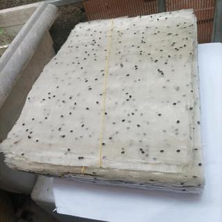 [1kg] Bánh Tráng Cuốn Mè Đen Bình Định