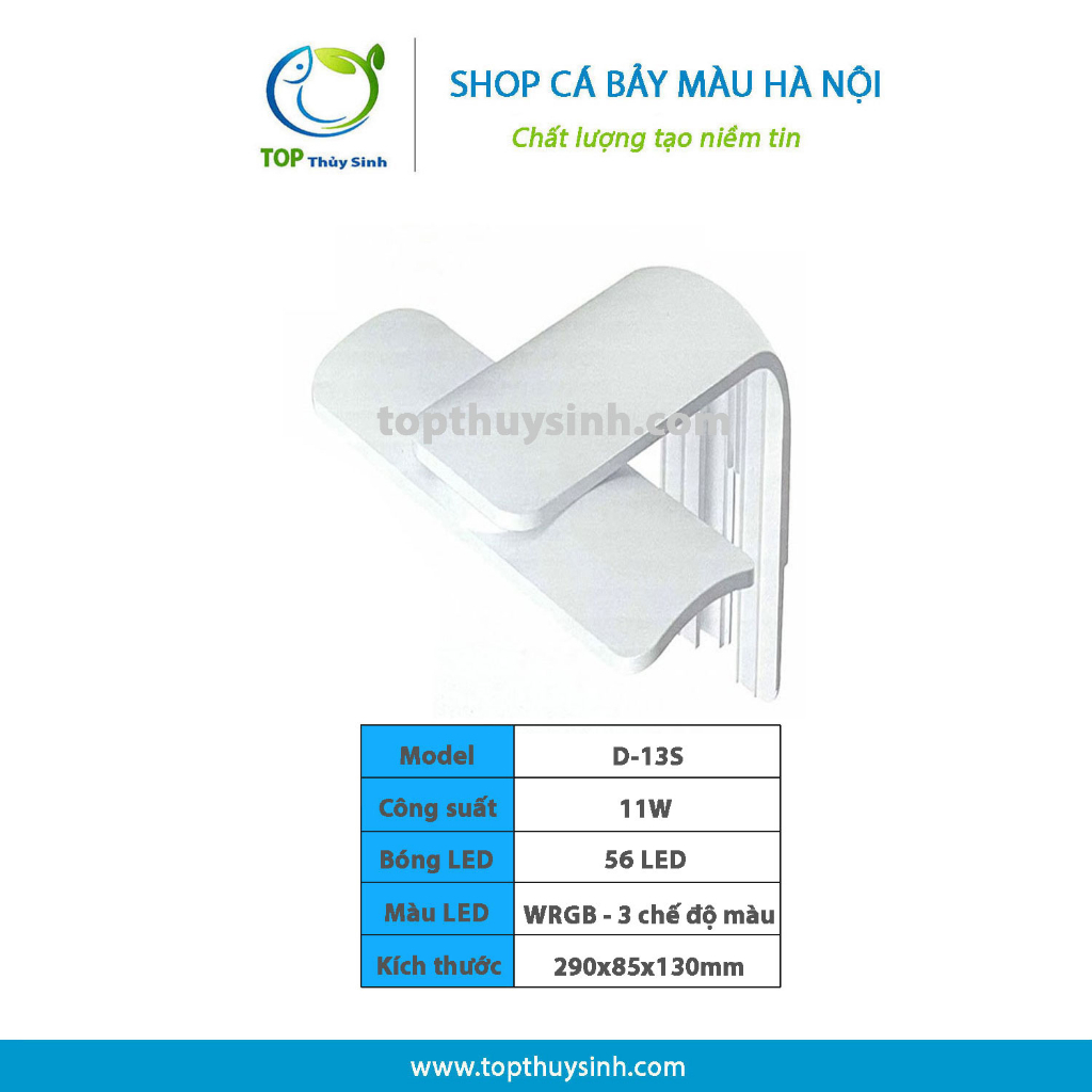 COMBO Bể kính đúc 60x30x35cm + đèn LED + lọc nước