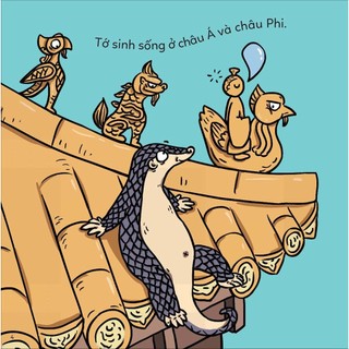 Sách - Đố Em Phân Biệt! - Tê Tê Và Tatu
