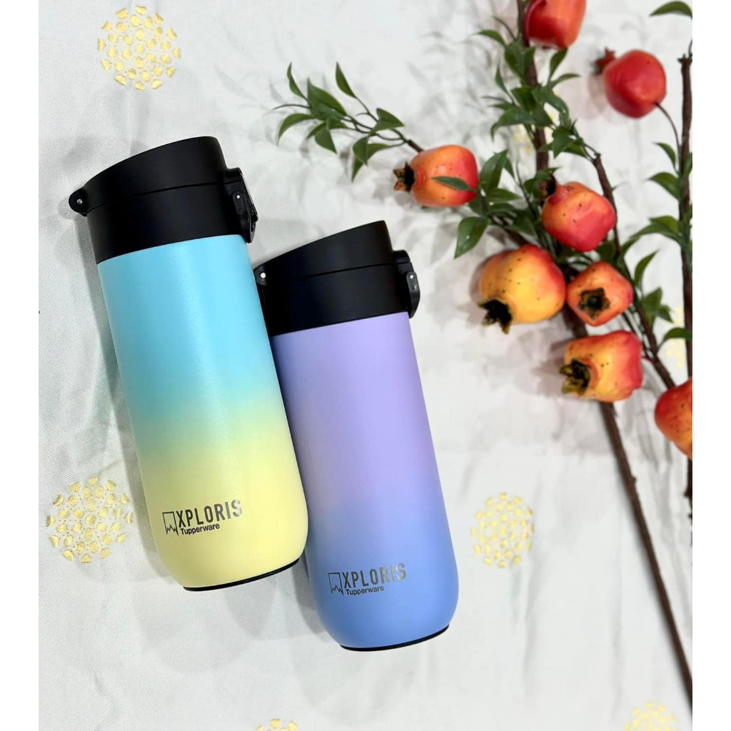 Bình giữ nhiệt Xploris Flash 450ml Tupperware