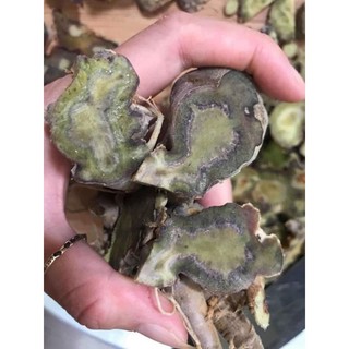 100g Bột Tam Thất Bắc (bột nghiền từ củ già )