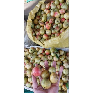 1kg Táo mèo khô, ( táo mới, đẹp, thơm phức)