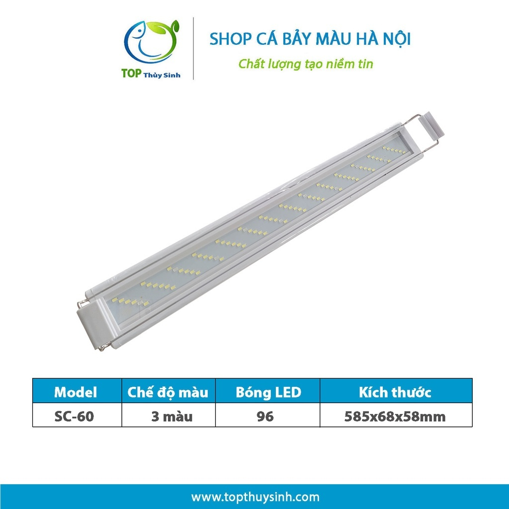 COMBO Bể kính đúc 60x30x35cm + đèn LED + lọc nước
