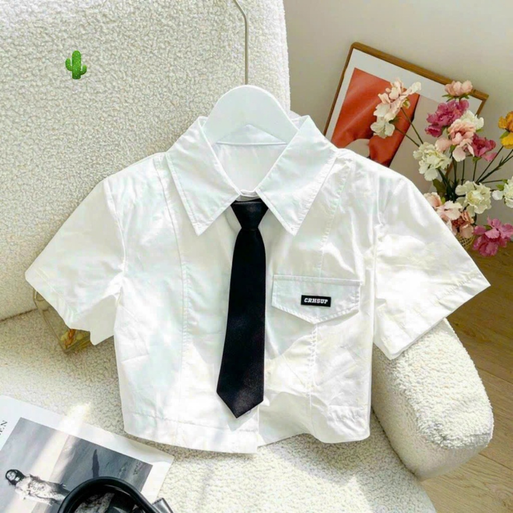 Áo sơmi croptop phối cà vạt bánh bèo dễ thương