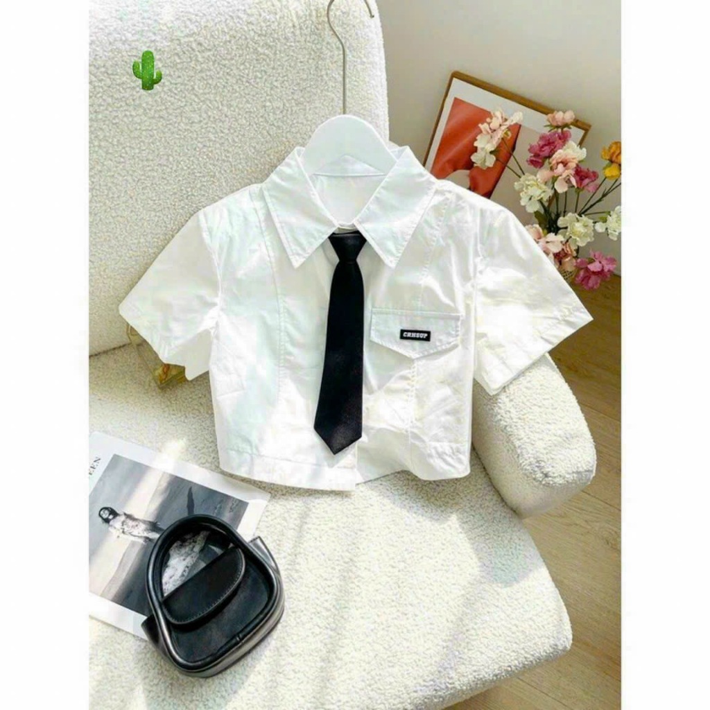 Áo sơmi croptop phối cà vạt bánh bèo dễ thương