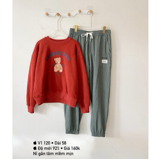 Áo nỉ freesize nam nữ - hoodie sweater | Bigsize
