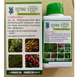 Gibberellic acid ga3 100ml kích thích sinh trưởng hàng nhập