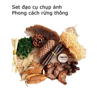 Set đạo cụ cây cối rừng thông vintage dùng trang trí chụp ảnh, decor nhà cửa, cửa hàng