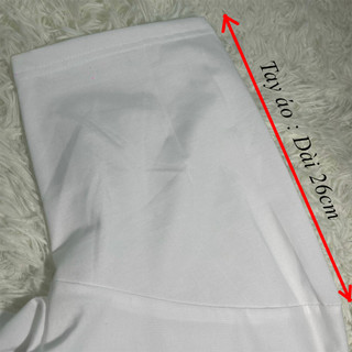 Áo thun nam nữ hình in Cá mập SHARRK sắc nét basic dễ phối đồ TT05