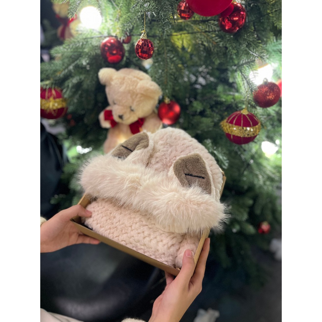 Quà giáng sinh tặng người yêu mũ len nữ ấm áp mùa đông tai gấu tặng quà tặng sinh nhật,noel, kỉ niệm nón lông cừu