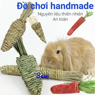 Đồ chơi gặm nhắm cà rốt cho Thỏ, Bọ, Chinchilla