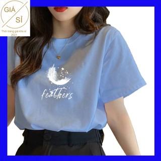  Áo thun nữ in hình lông vũ form vừa người size M L nhiều màu bán chạy siêu hot thời trang áo phông phong cách siêu hot 