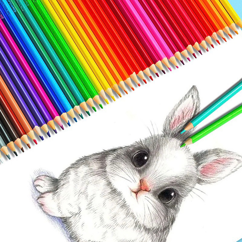 Bộ 12/18/24/36 chì màu skyglory gốc dầu hộp giấy dành cho bé