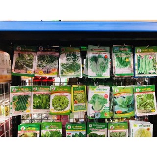 Các loại hạt giống rau vụ mới