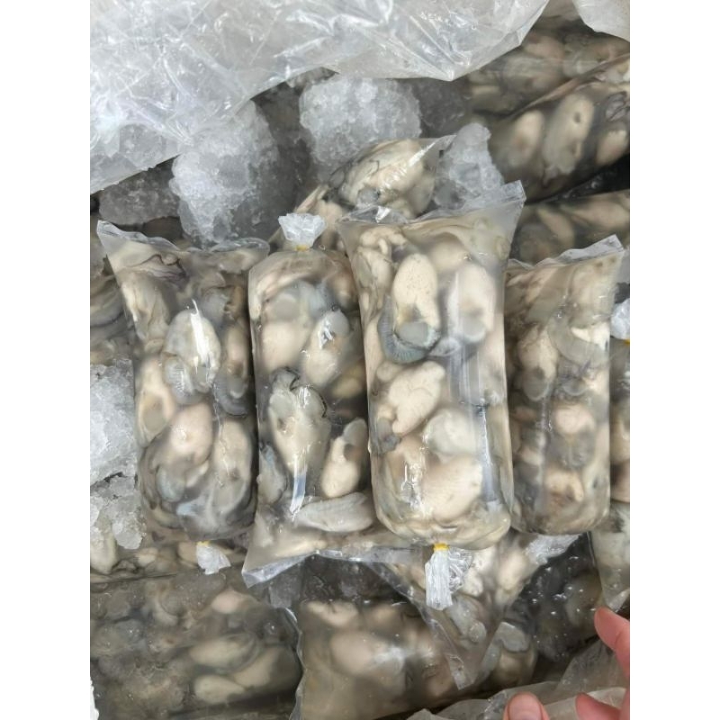 RUỘT HÀO SỮA CON TO -1 KG/ 2 TÚI 500G NET 8
