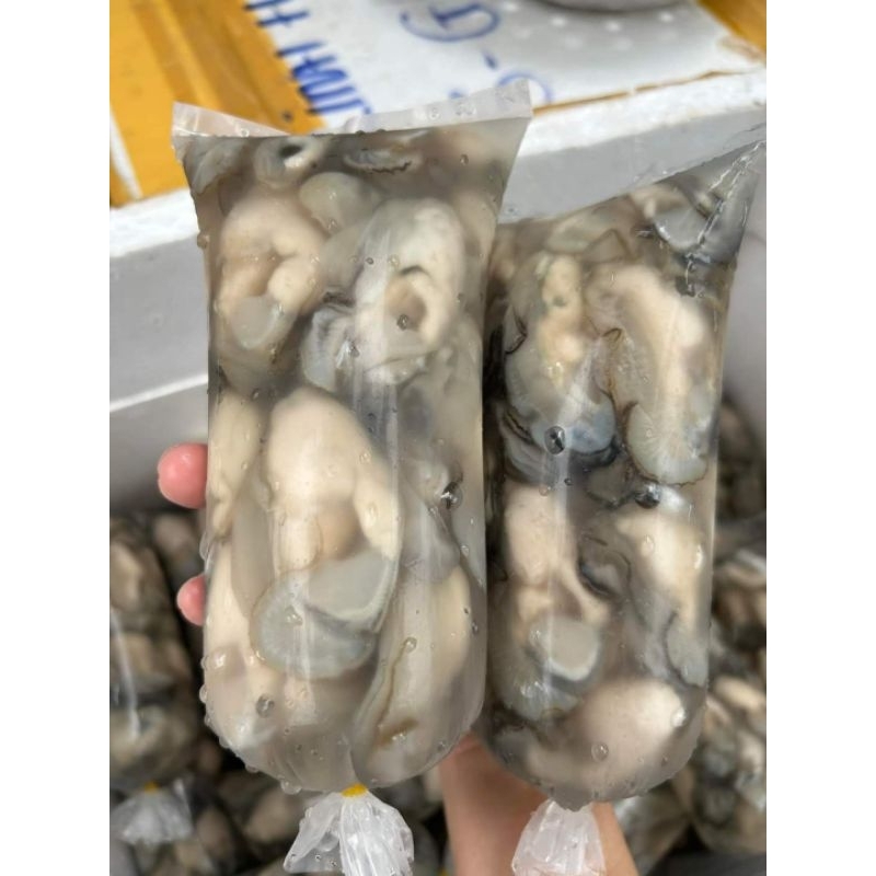 RUỘT HÀO SỮA CON TO -1 KG/ 2 TÚI 500G NET 8