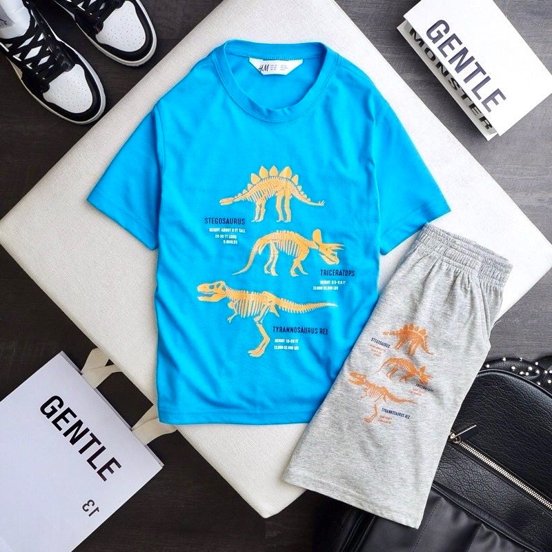 🚗 Bộ cotton H&M hàng xuất bé trai 20-60kg