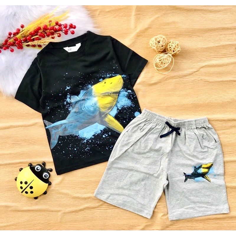 🚗 Bộ cotton H&M hàng xuất bé trai 20-60kg