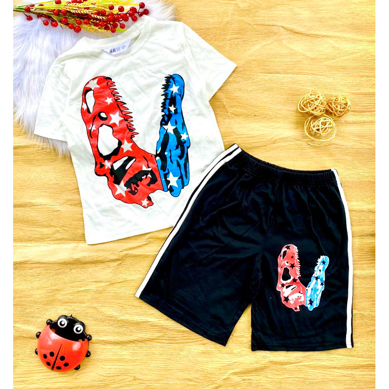 🚗 Bộ cotton H&M hàng xuất bé trai 20-60kg