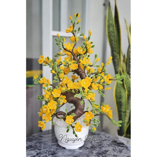 Set làm cây mai bonsai kẽm nhung cao 40-50cm