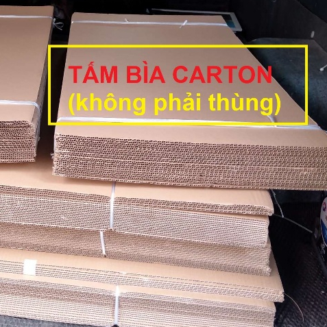 [HỎA TỐC HCM] Tấm 50x100cm, 50x50cm Combo giấy carton 3mm 3 lớp, 6mm 5 lớp làm mô hình, giáo cụ mầm non STEAM, bao bì