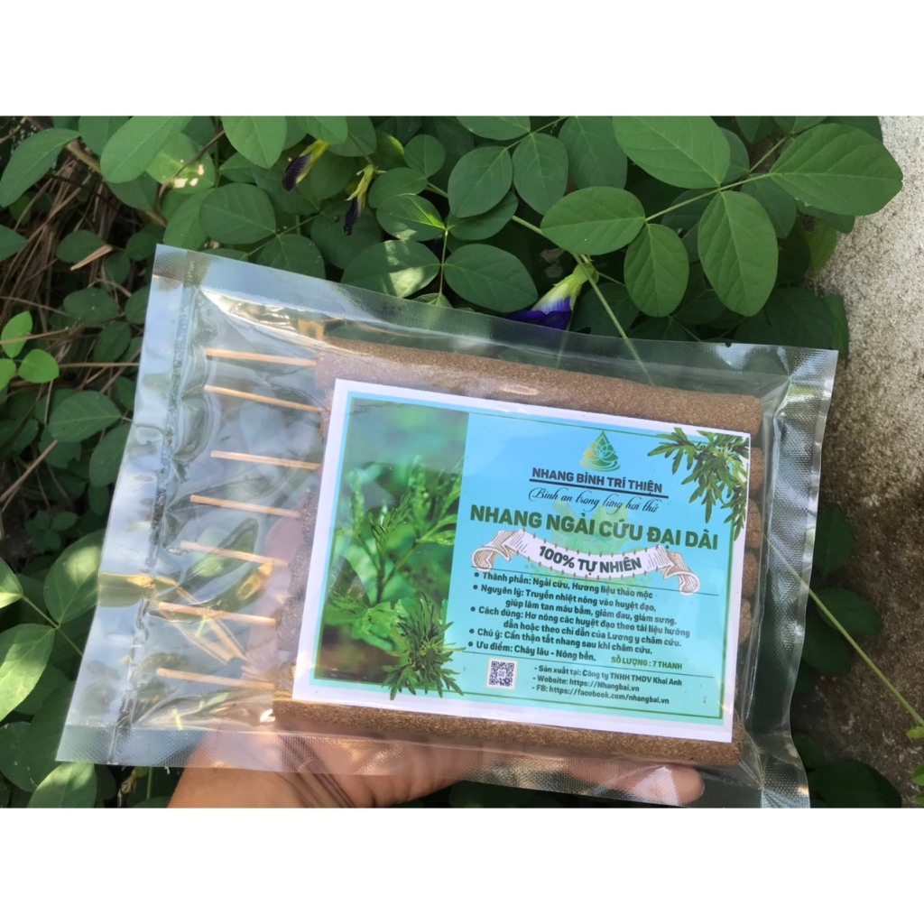 Nhang Ngải Cứu Đại dài - Hương Ngải Nhung  - Ngải Đại