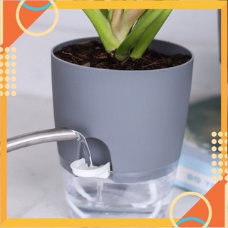 Châu cây tưới trong chậu a705. chậu cây thông minh tưới trong chậu a705