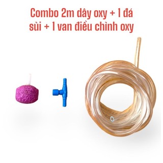 Combo 2m dây + 1 van điều chỉnh + 1 đá sủi oxy cho hồ cá