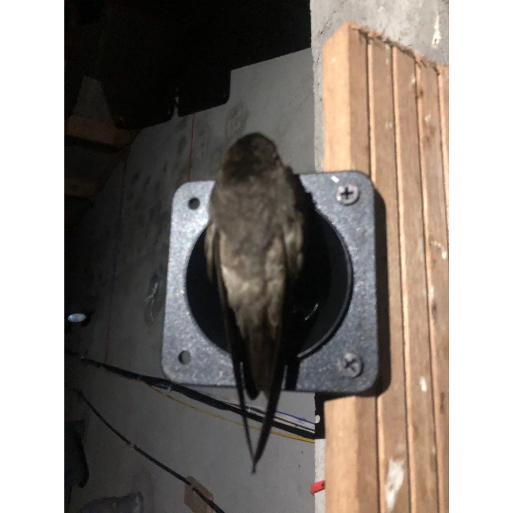 Loa HP1000 - loa dẫn nhà yến