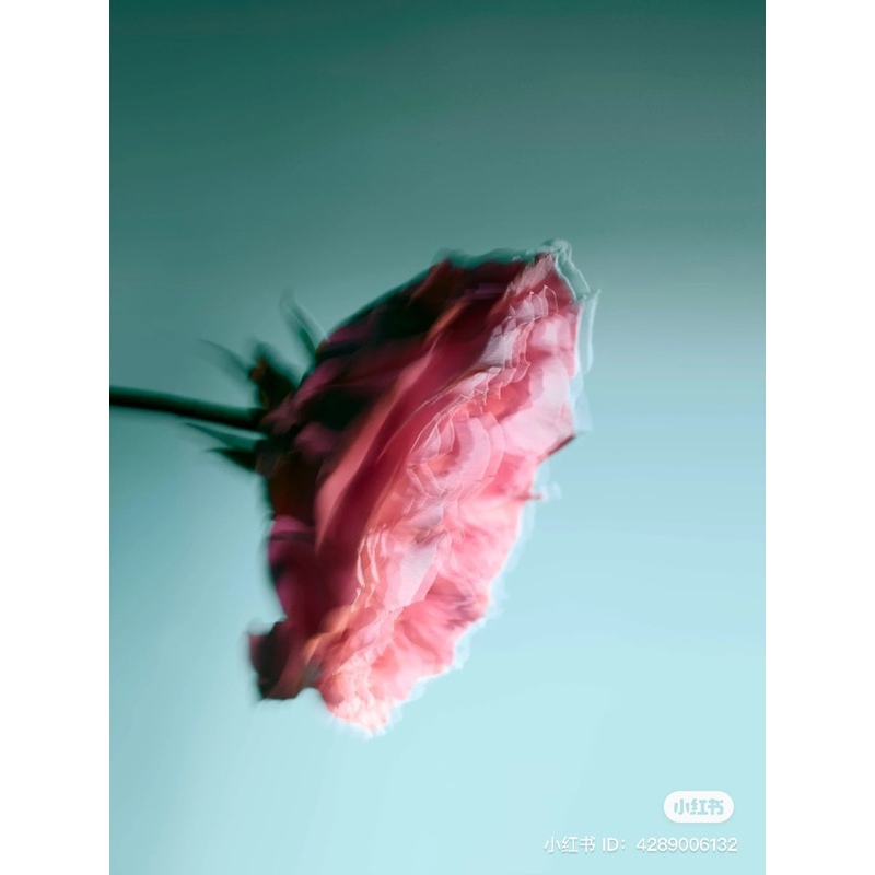 Nước hoa Niche quyến rũ Atelier Cologne Rose Anonyme Extrait