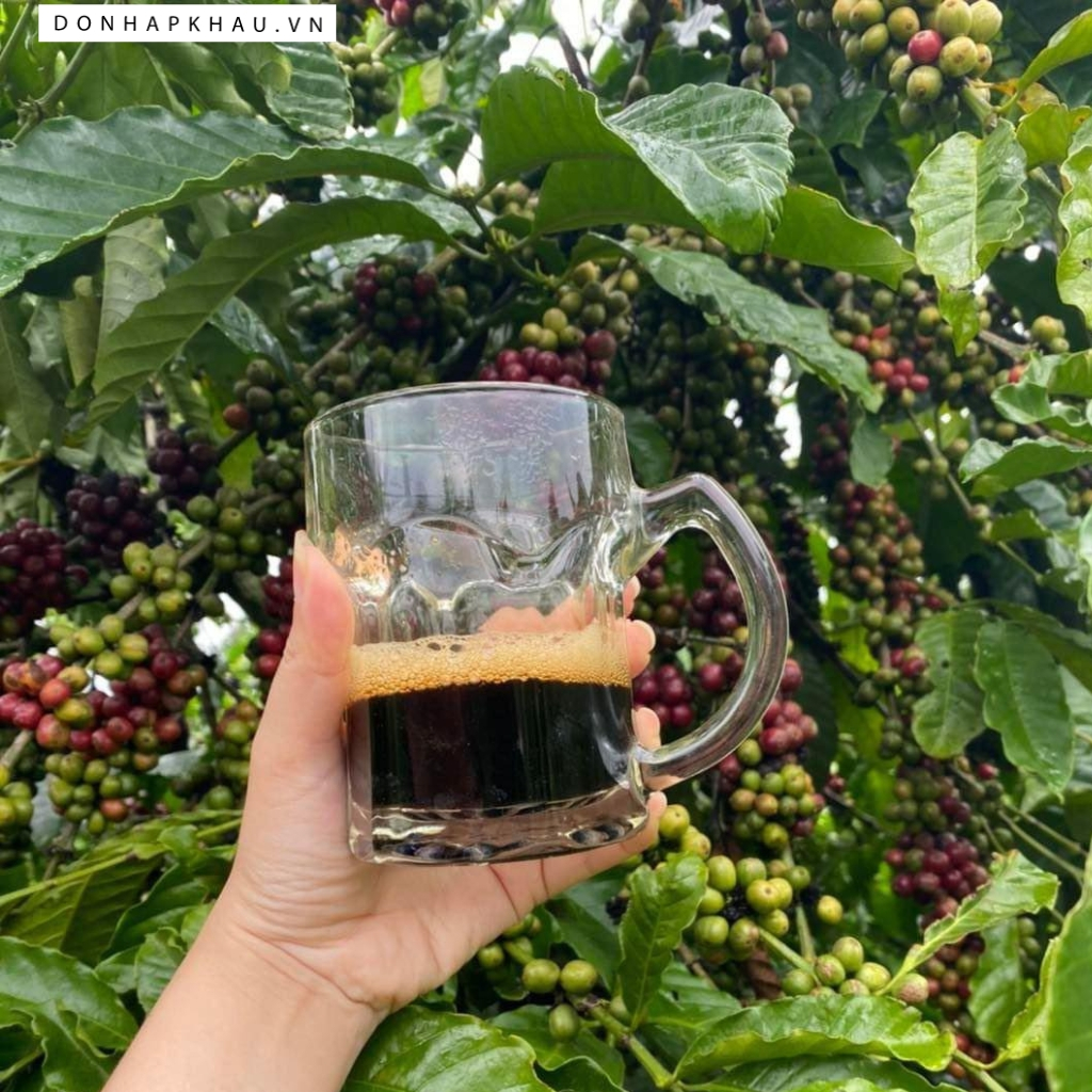 Cà Phê Robusta Động Lực Cho Ngày Mới, Hương Vị Tinh Tế Từ Kết Hợp Hoàn Hảo
