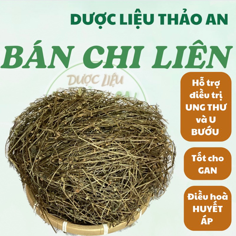 1kg cây BÁN CHI LIÊN khô (mới sạch đẹp, loại 1) - cơ sở dược liệu Thảo An